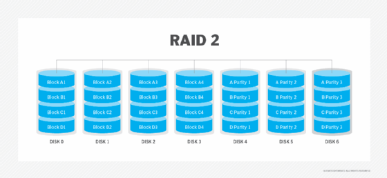 RAID 2 diagram