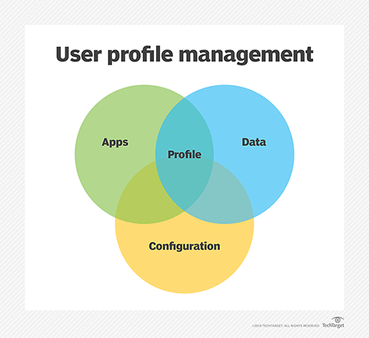 The user profile