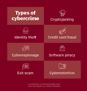 Infographic citing the types of cybercrime.
