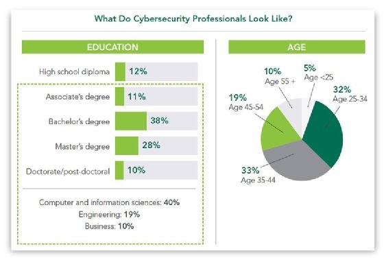 Cybersecurity professional profile