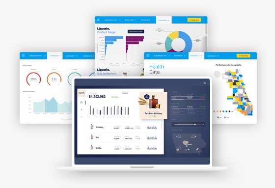 Organizations' data is visually displayed on sample Yellowfin 9 dashboards.