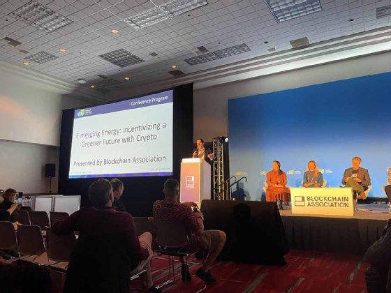 Panelists at CES 2023 talk about sustainability, carbon emissions, crypt and blockchain.