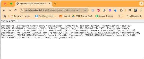 Image of the browser acting as an API test tool.