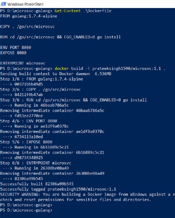 The container image built from the Dockerfile