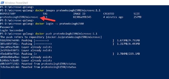 Docker image made publicly available in the Docker Hub repository