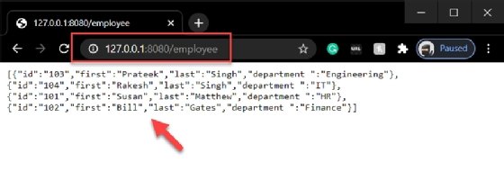 The JSON results from the container's REST endpoint