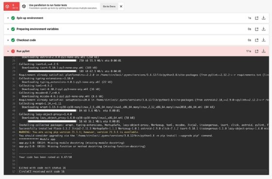 The screenshot displays a failed lint run on CircleCI.