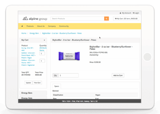 iPad Salesforce e-commerce screenshot