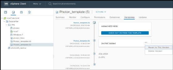 Check-in and check-out VM template