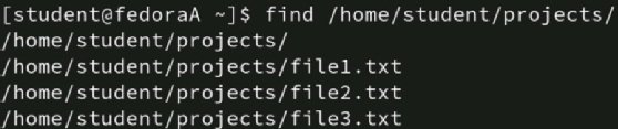 Linux screenshot showing commands to display specific files.