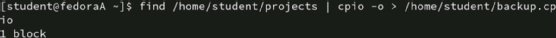 Linux screenshot showing commands to find and redirect files.