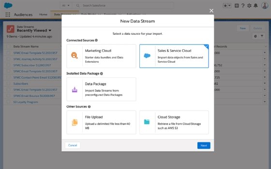 Salesforce Customer Audiences CDP screenshot
