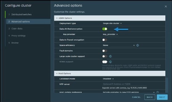 vSAN data-at-rest encryption, Advanced Options