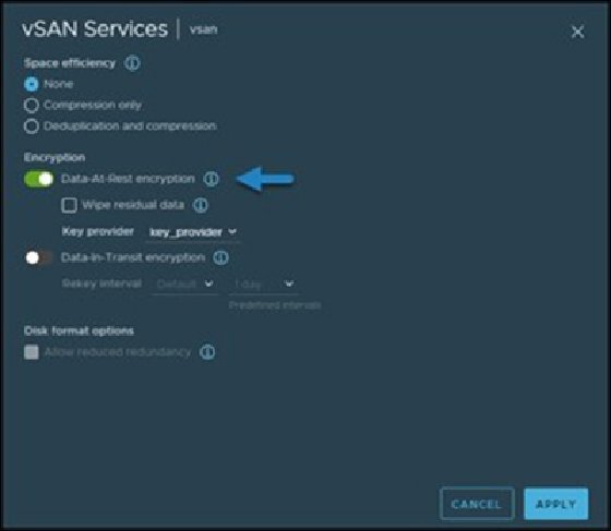 vSAN services, data-at-rest encryption