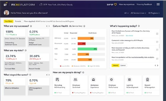 Screenshot of EY PX360 Platform