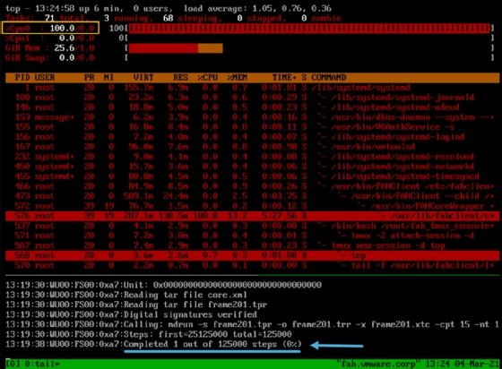 Screenshot of F@H Fling CPU interface