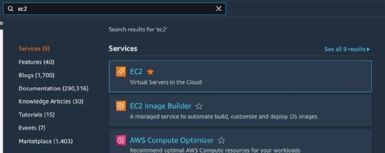 Choose Launch Instances option.
