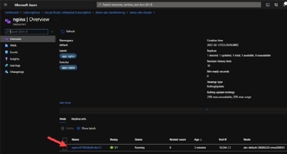Screenshot of the Azure Portal showing the deployed container