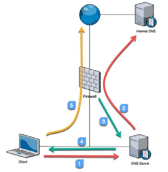 Image explaining a DNS sinkhole from 'Mastering Palo Alto Networks'
