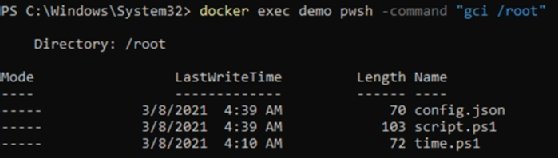 config.json file