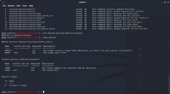 Screenshot of setting LHOST in Metasploit