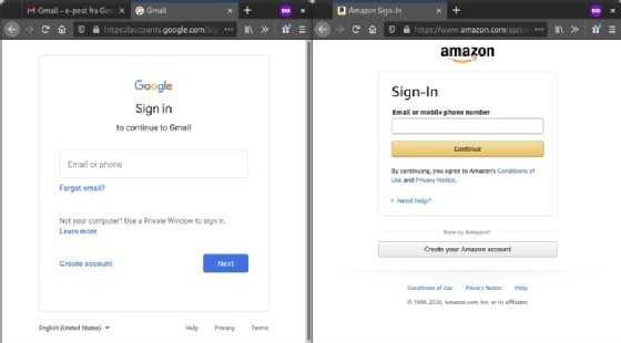Screenshots of Google and Amazon login pages