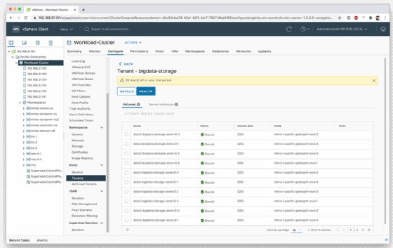screenshot of MinIO in VMware vCenter