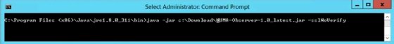 Java command to run VMware NUMA Observer