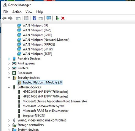 TPM in the device manager