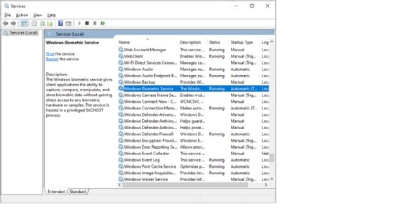Windows Biometric service