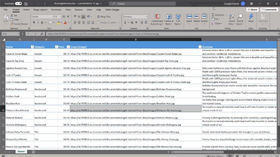 Excel-based Power Apps app
