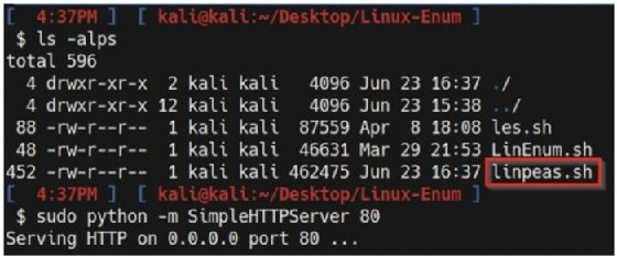 Screenshop of Kali VM directory
