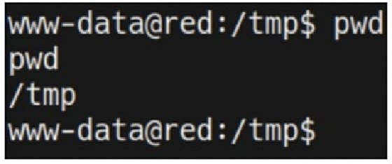 Screenshot of Linux temp directory