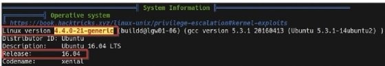 Screenshot of Linux distribution info