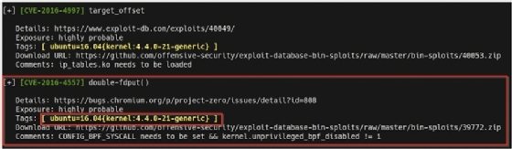 Screenshot of kernel exploit suggestions