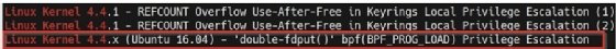 Screenshot of Linux Searchsploit results