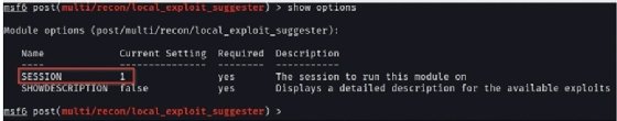 Screenshot of session options