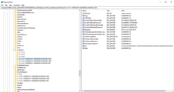 Screenshot of Windows Registry Editor user entries corresponding to user profiles.