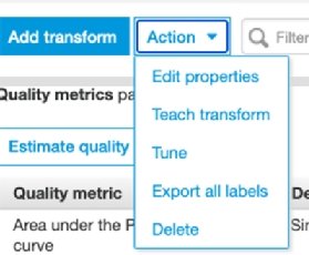 List of Glue Actions: Edit properties, teach transform, tune, export all labels and delete
