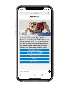 Photo of Snowbird virtual assistant app with image of avalanche rescue dog