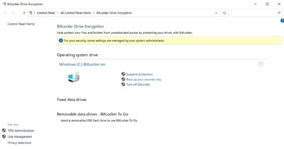A screenshot of BitLocker Drive Encryption on a Windows 11 machine.
