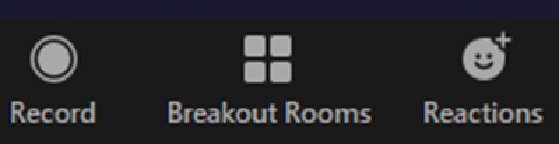 Zoom bottom toolbar