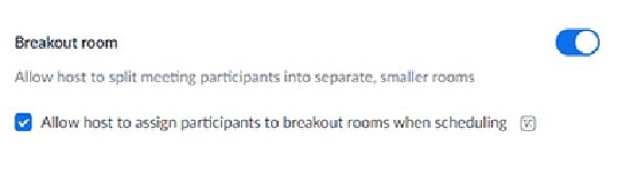 Enable Zoom breakout rooms