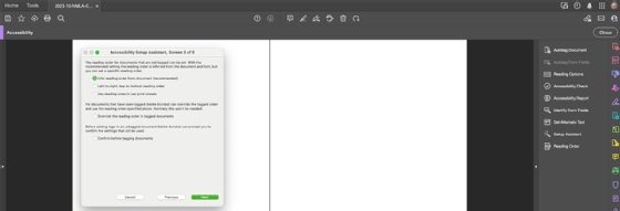 A screenshot of the third prompt for Adobe Acrobat's Accessibility Setup Assistant.