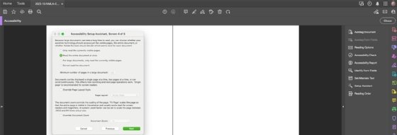 A screenshot of the fourth prompt for Adobe Acrobat's Accessibility Setup Assistant.