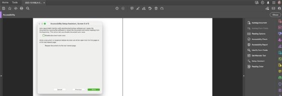 A screenshot of the fifth prompt for Adobe Acrobat's Accessibility Setup Assistant.