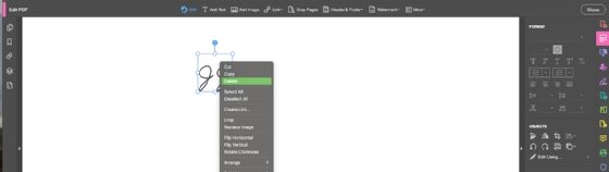 A screenshot from Adobe Acrobat that shows how to delete a digital signature