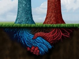 SAS Institute and Broadcom